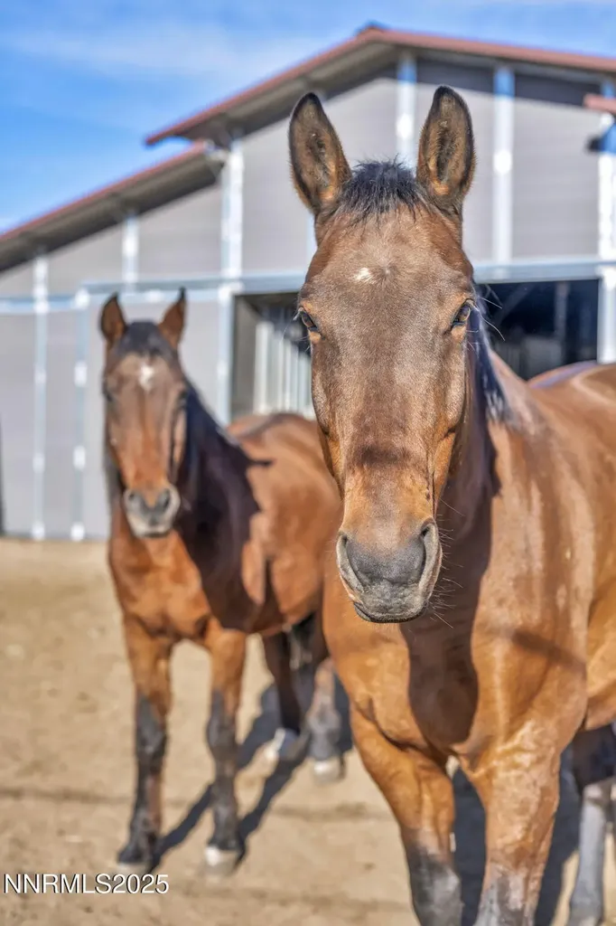 2075 Buckskin Washoe Valley NV 89704