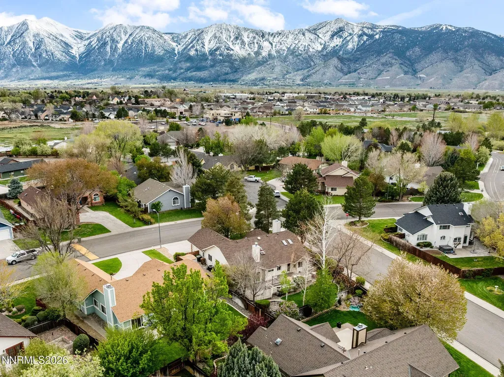1709 Lantana Minden NV 89423