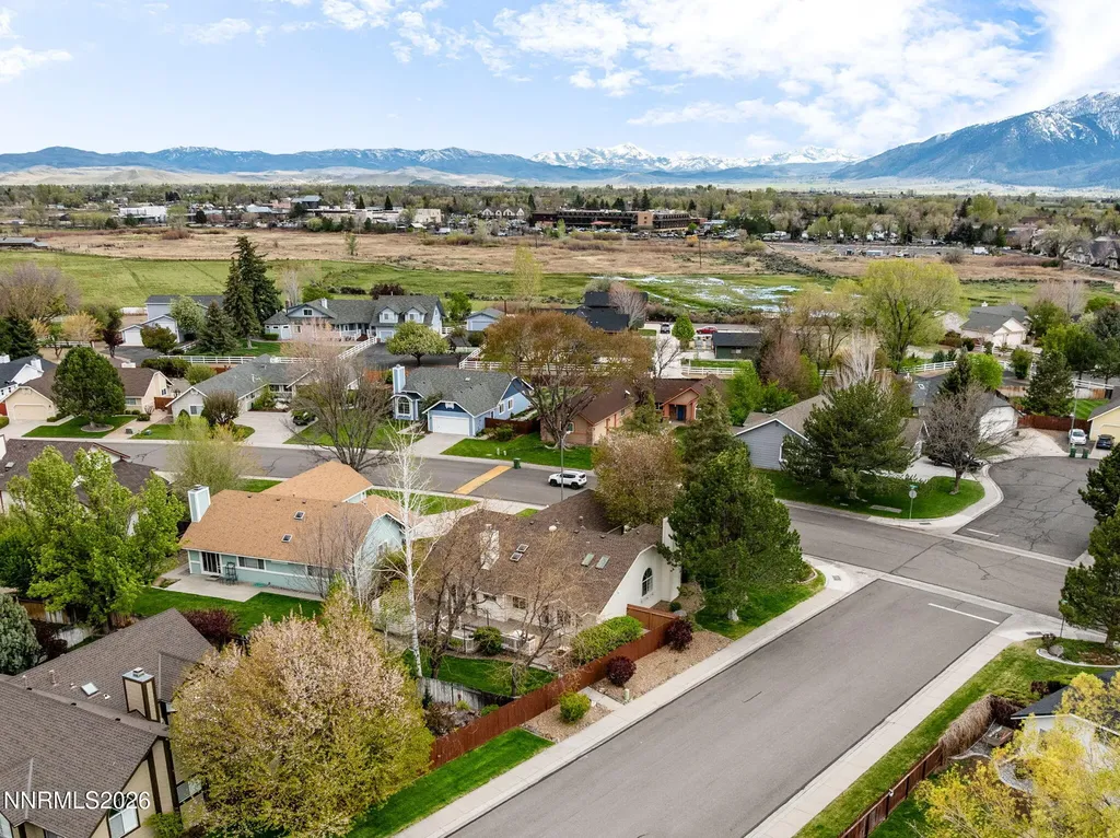 1709 Lantana Minden NV 89423