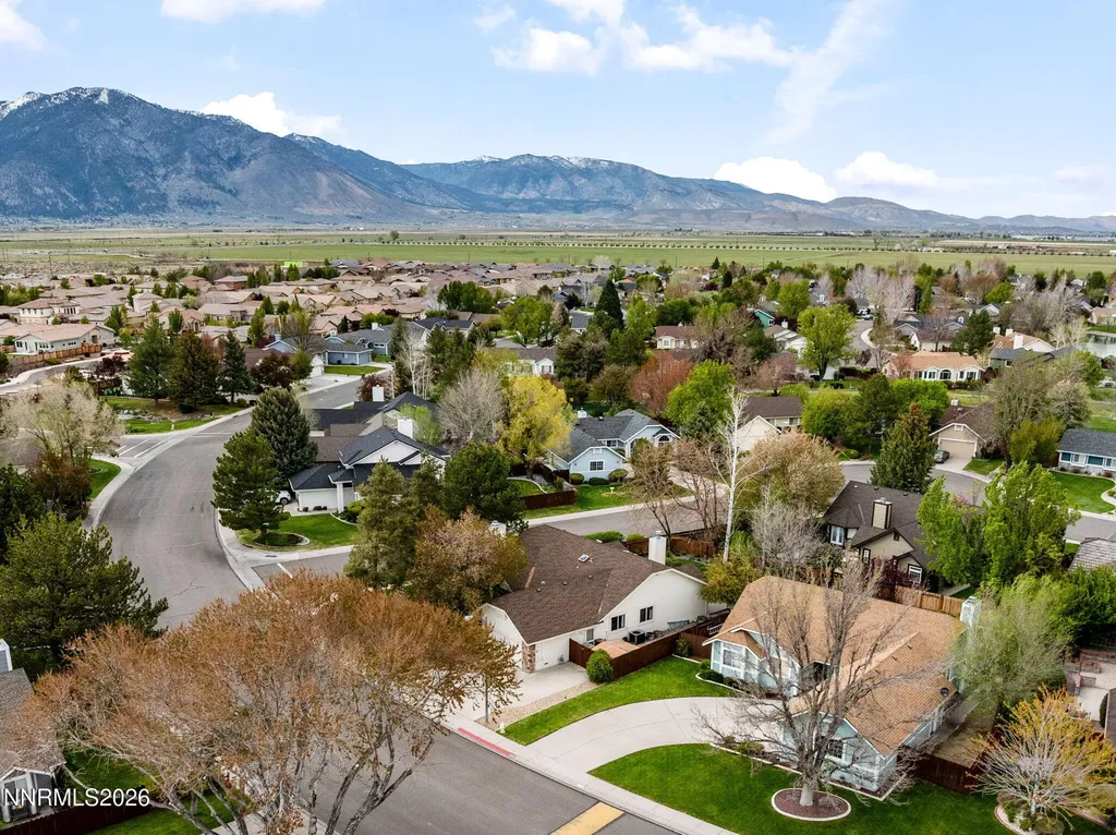 1709 Lantana Minden NV 89423