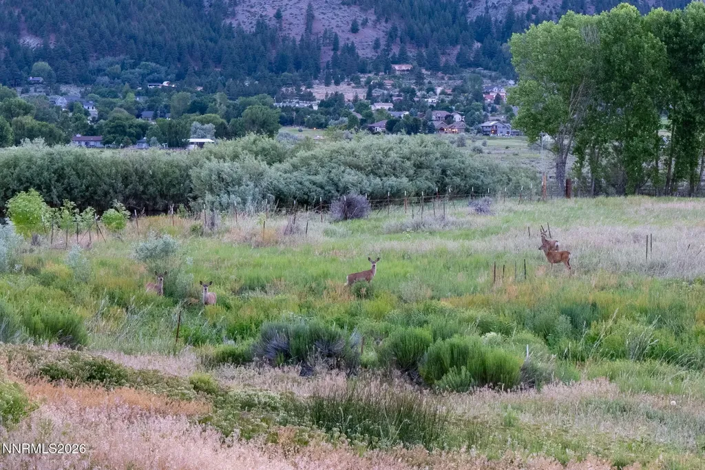 380 Genoa Minden NV 89423