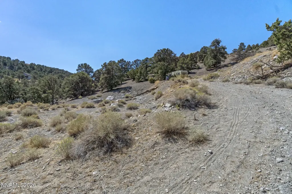 21490 Sazarac Reno NV 89521