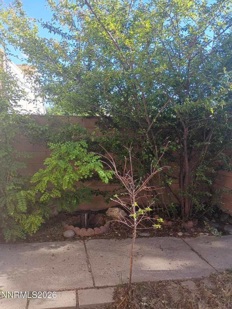 32 Castle Carson City NV 89706