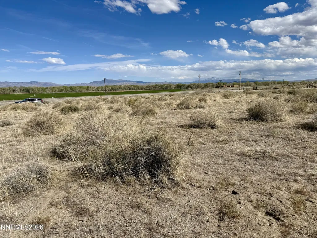 0 Highway 339 Yerington NV 89447