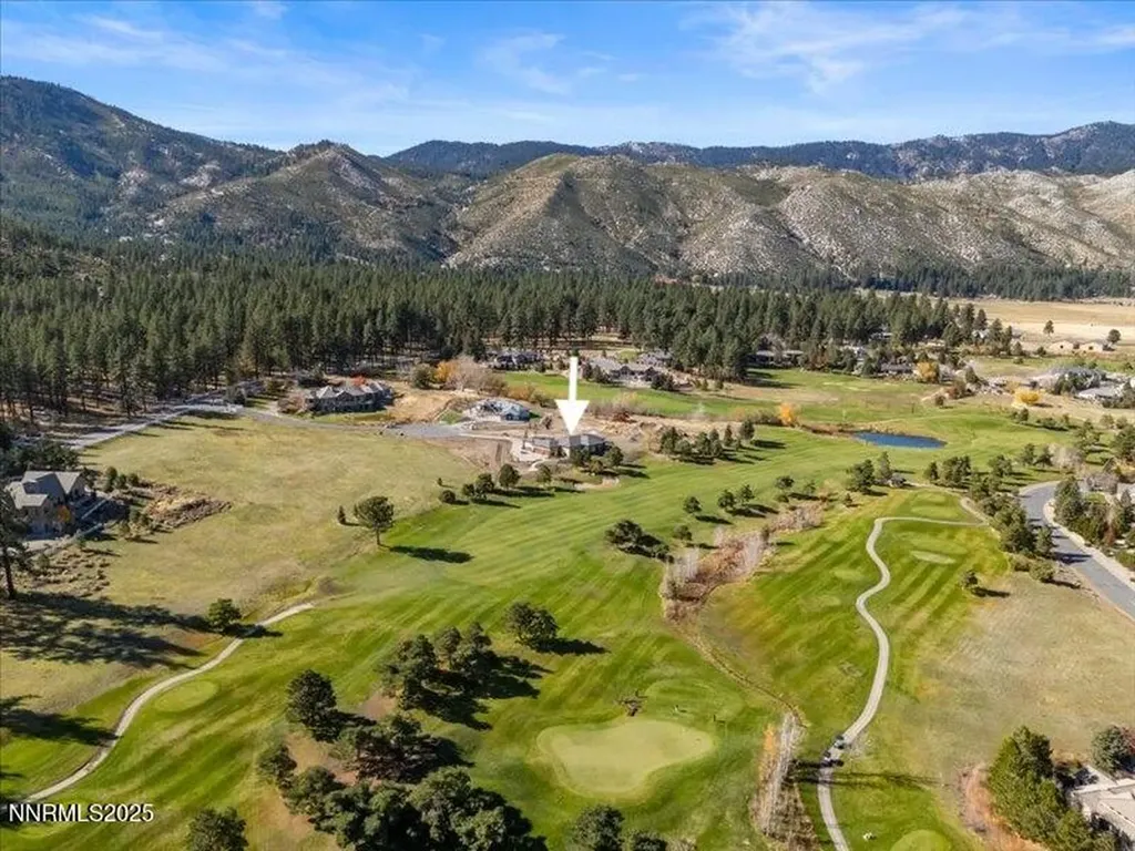 8 High Camp Washoe Valley NV 89704