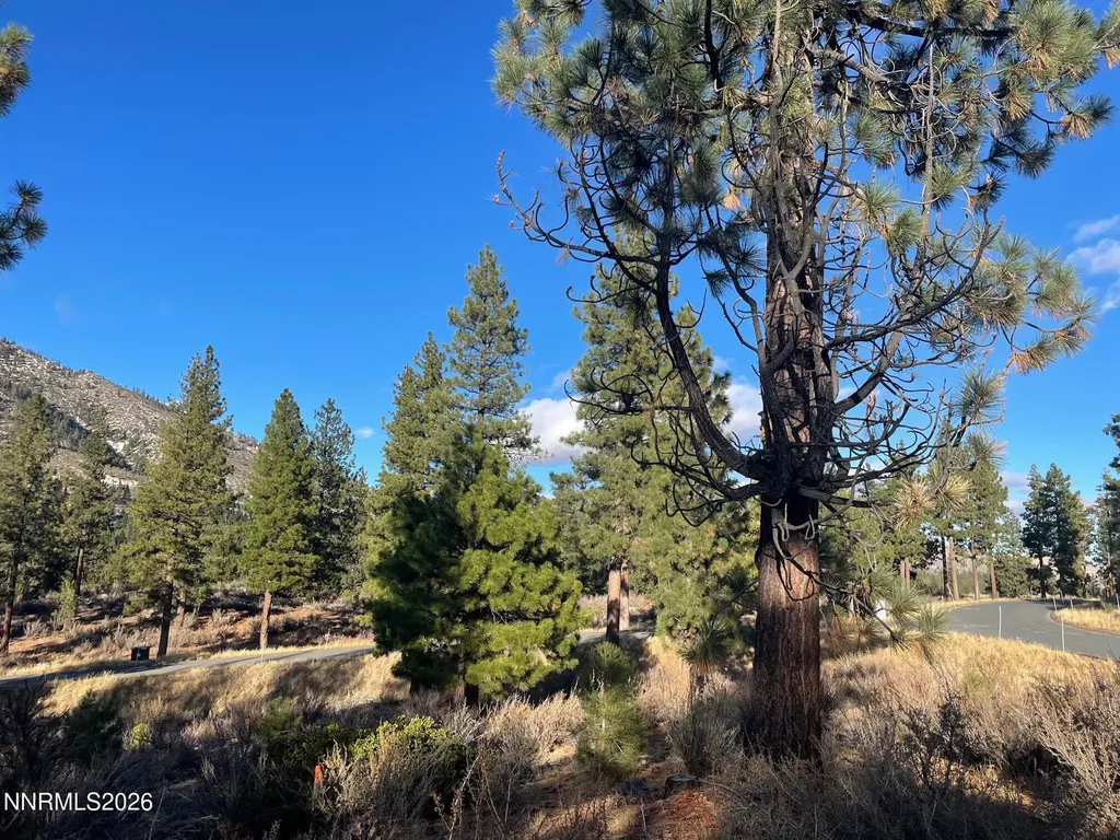 160 Walton Toll Carson City NV 89705