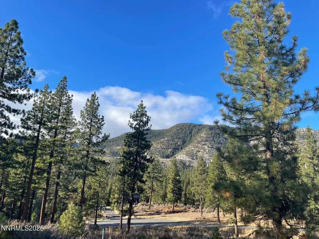 160 Walton Toll Carson City NV 89705