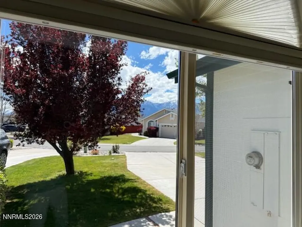1147 White Oak Loop Minden NV 89423