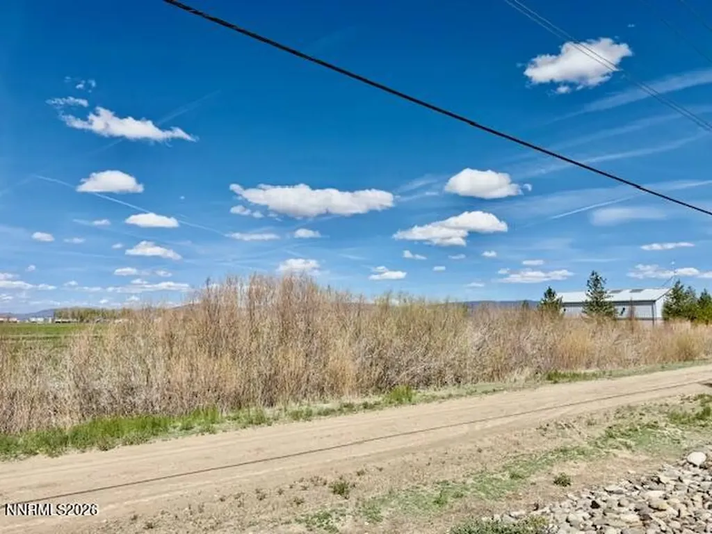 1147 White Oak Loop Minden NV 89423
