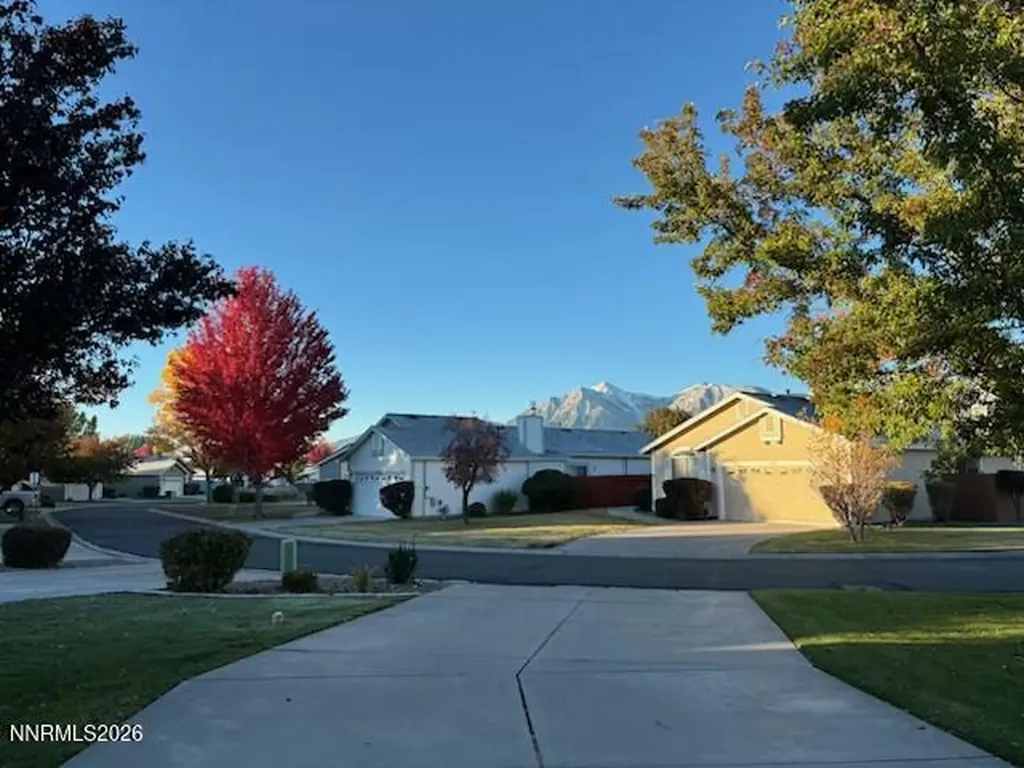 1147 White Oak Loop Minden NV 89423