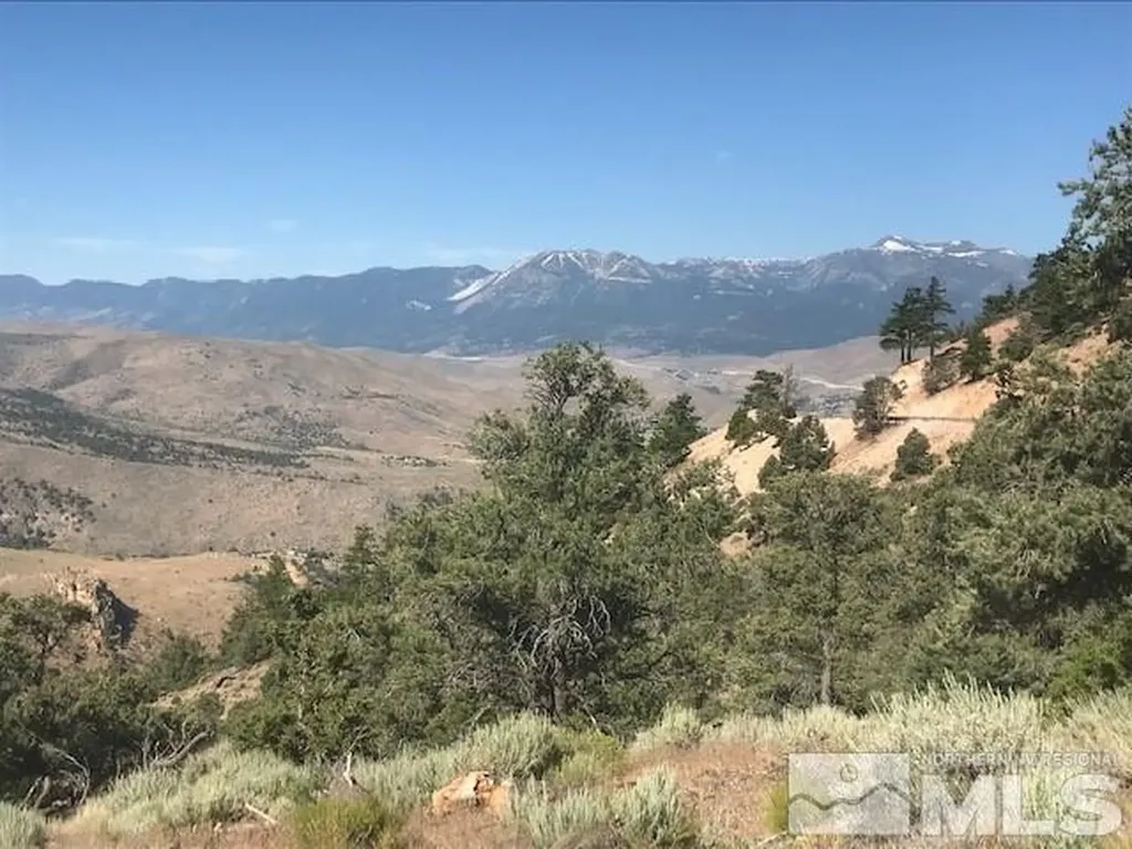 20 Toll Reno NV 89521