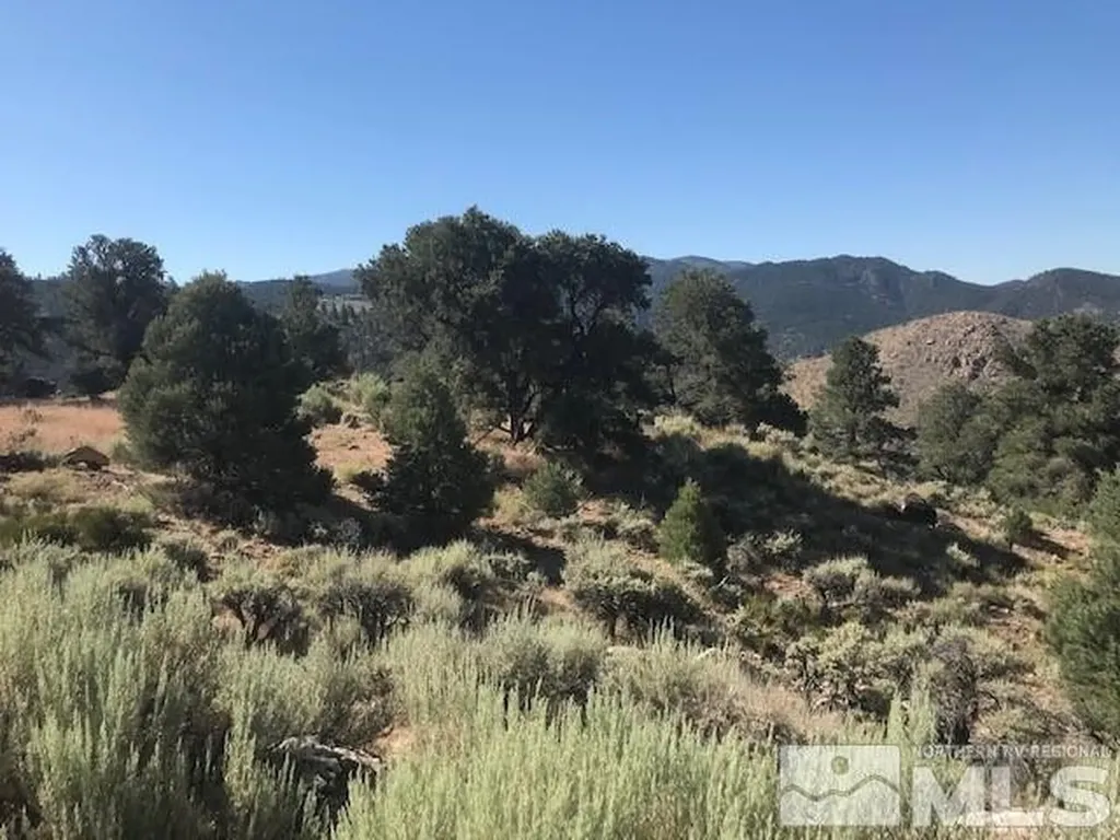 20 Toll Reno NV 89521
