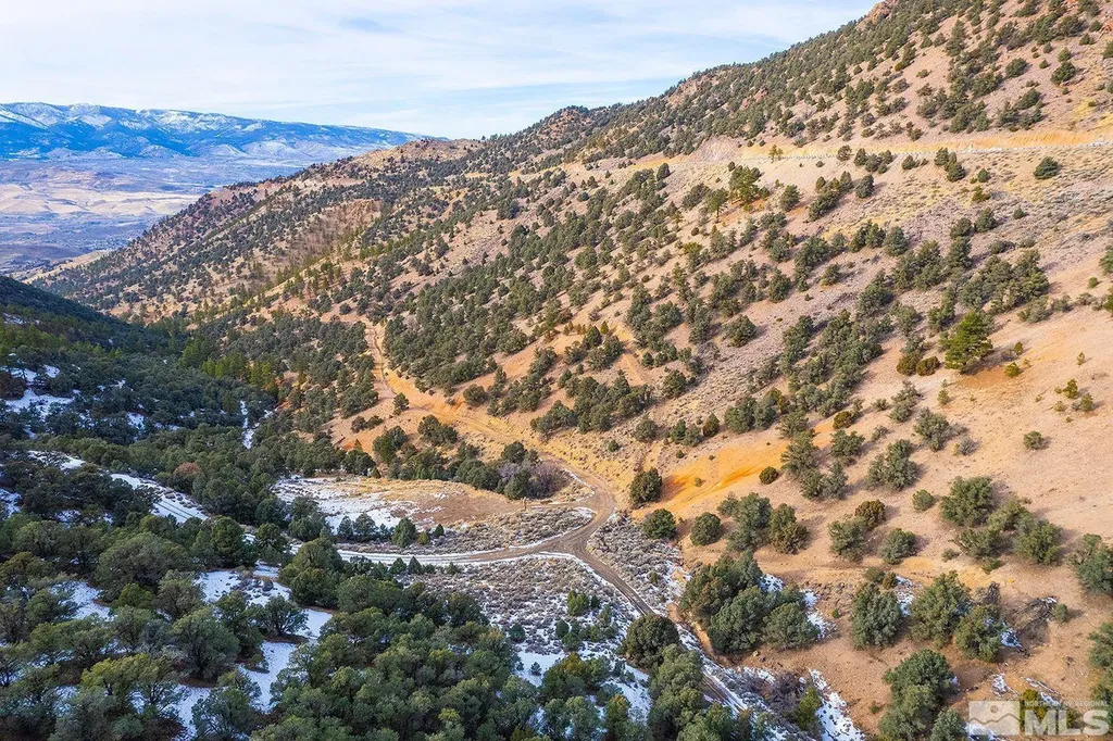 20 Toll Reno NV 89521