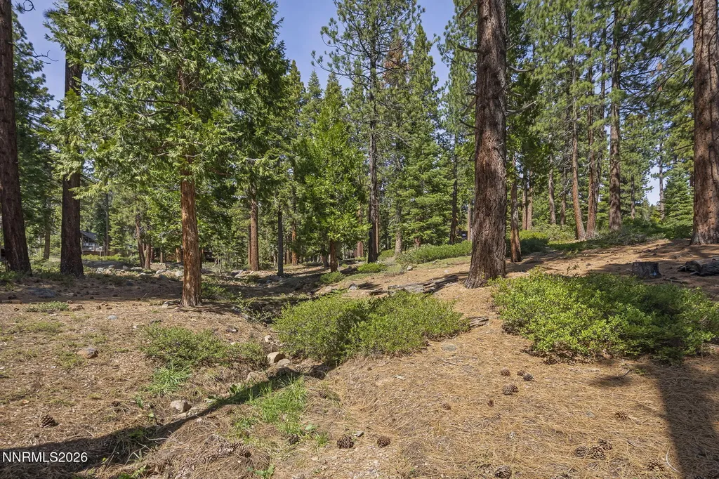 568 Antler Incline Village NV 89451