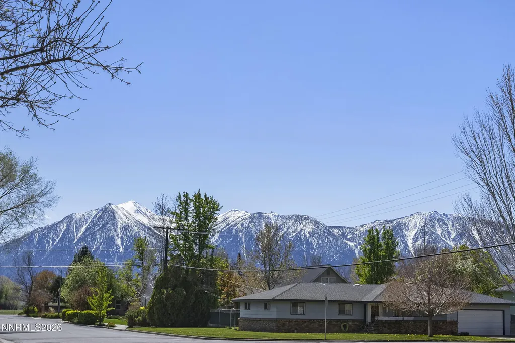 1534 County Minden NV 89423