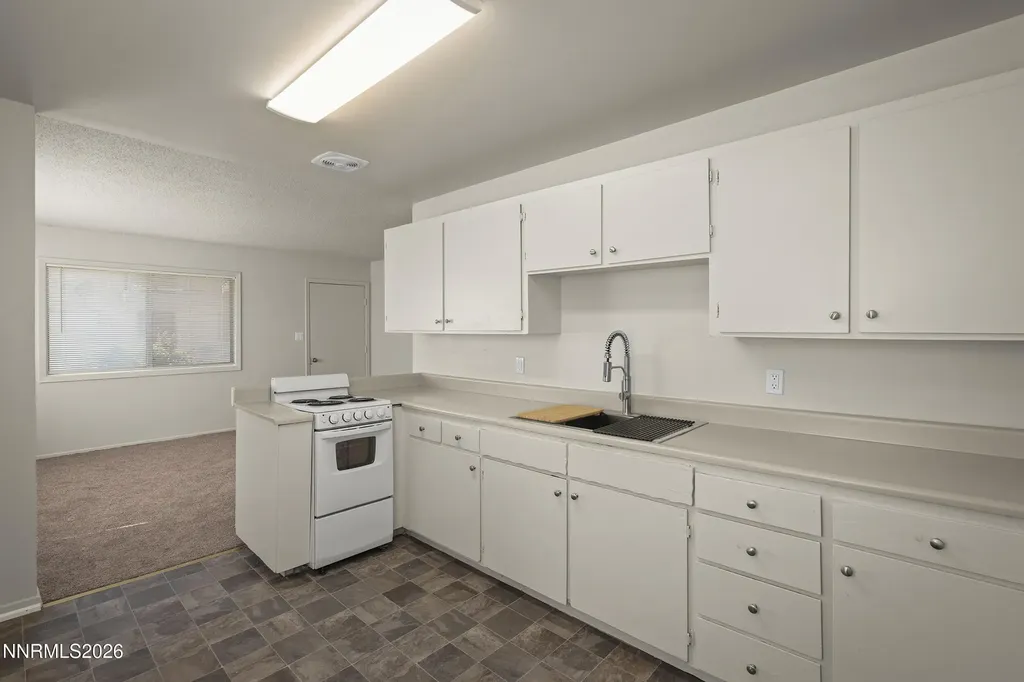 1534 County Minden NV 89423