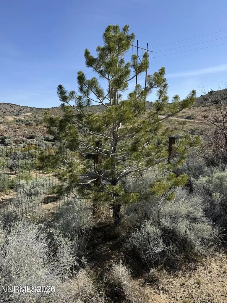 6260 Pursia Carson City NV 89701
