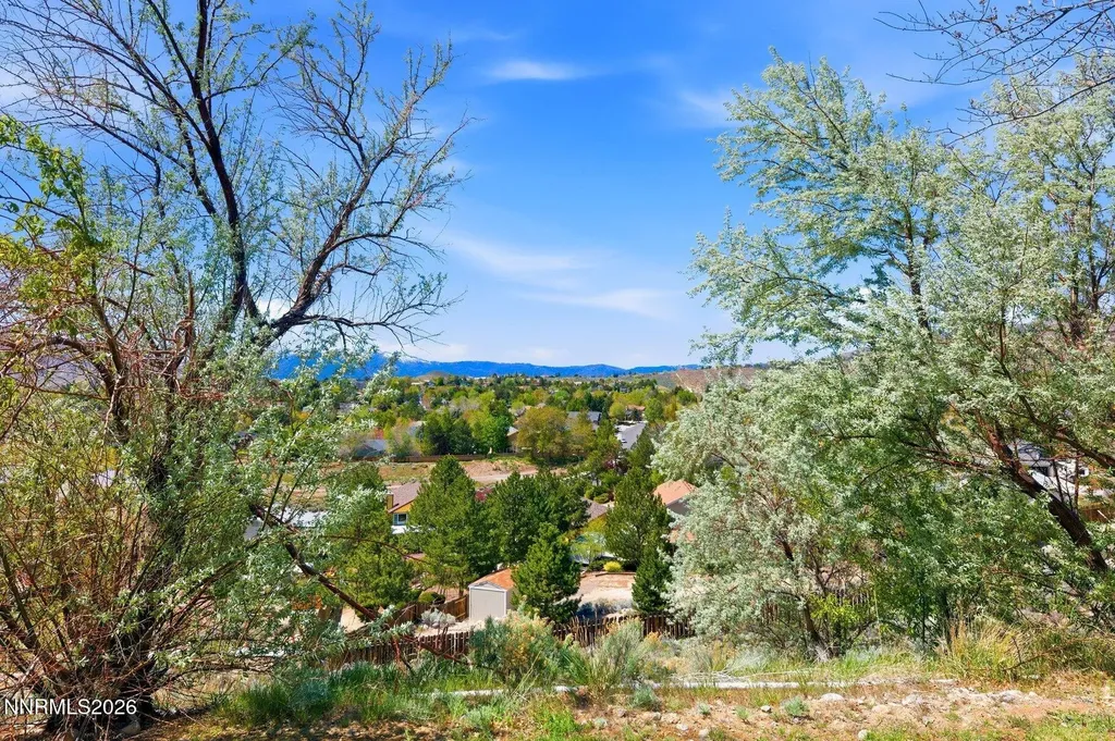 1903 Tuolumne Reno NV 89523