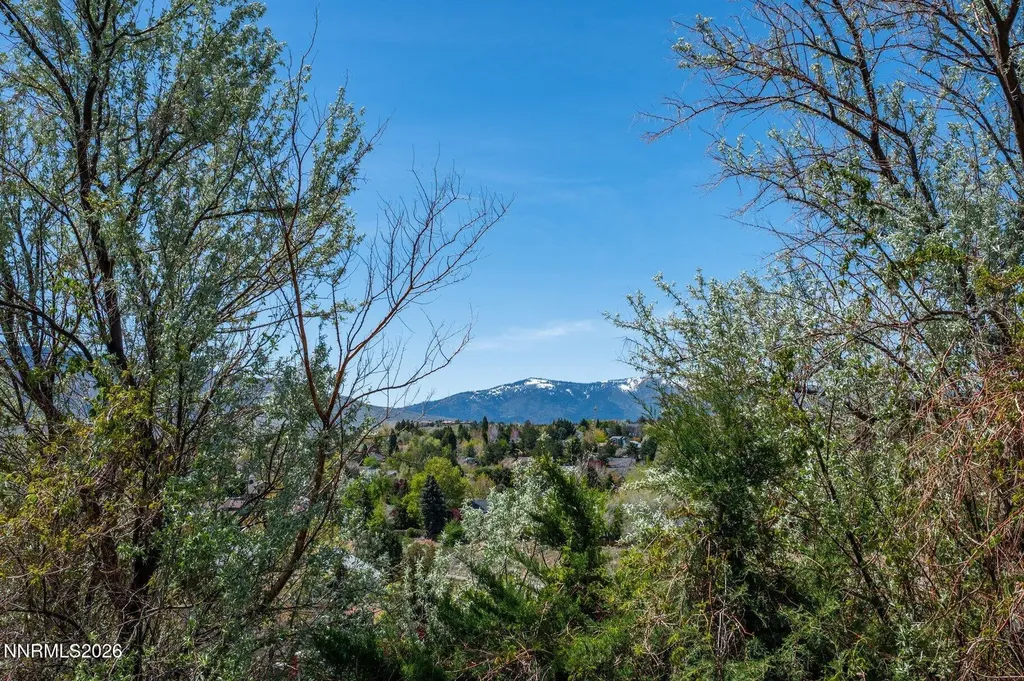 1903 Tuolumne Reno NV 89523