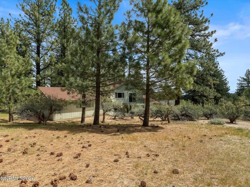 4301 Meadow Wood Carson City NV 89703