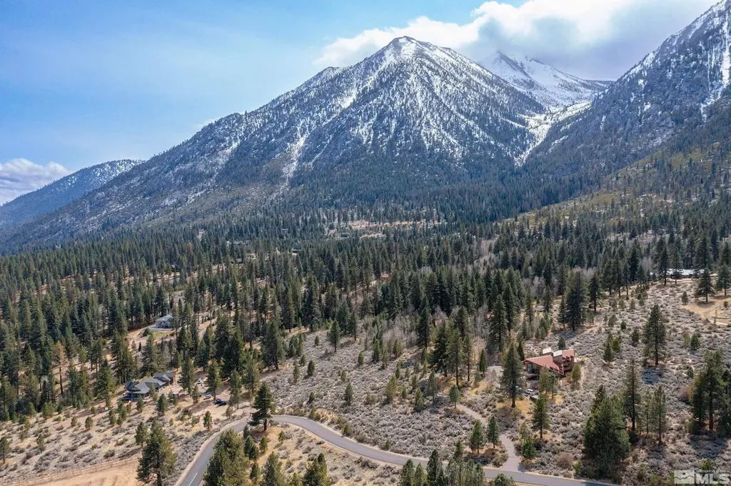 297 Five Creek Gardnerville NV 89460