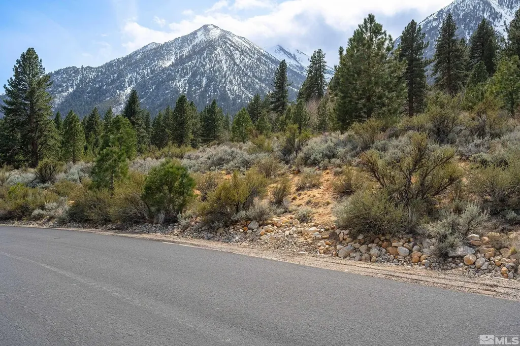297 Five Creek Gardnerville NV 89460
