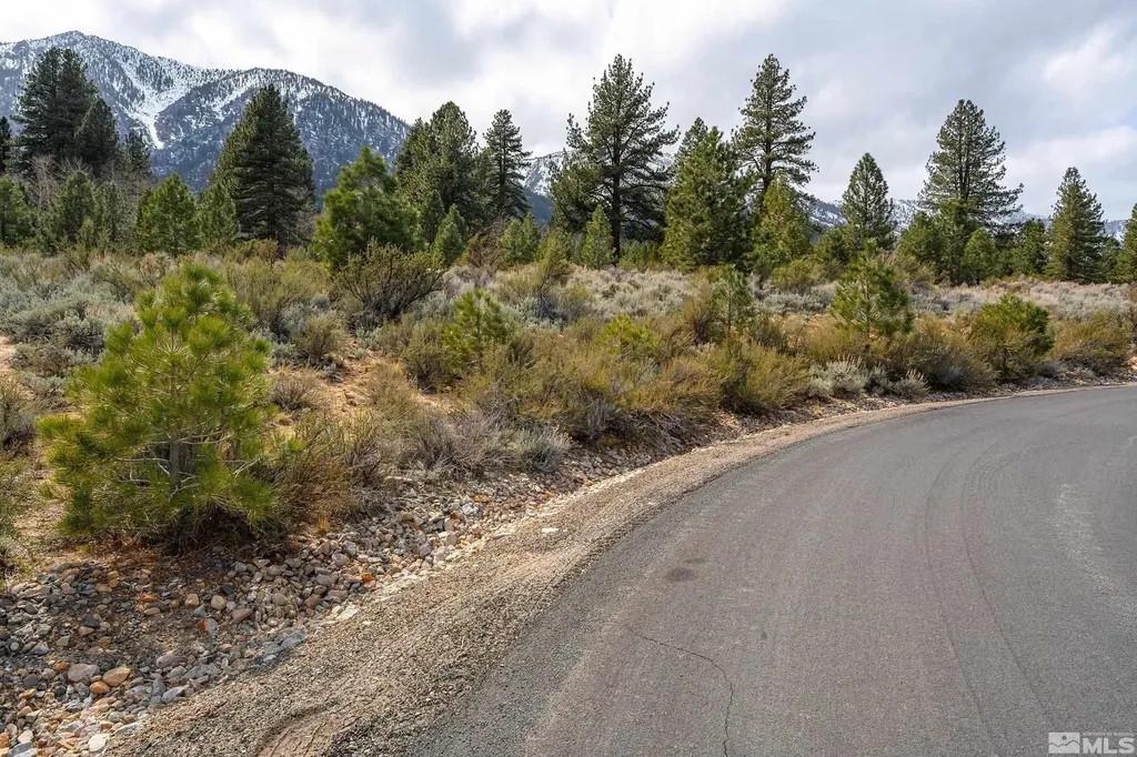 297 Five Creek Gardnerville NV 89460