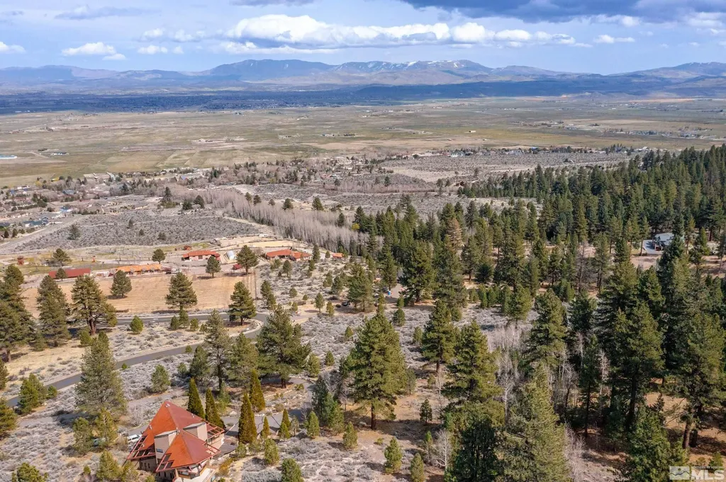 297 Five Creek Gardnerville NV 89460