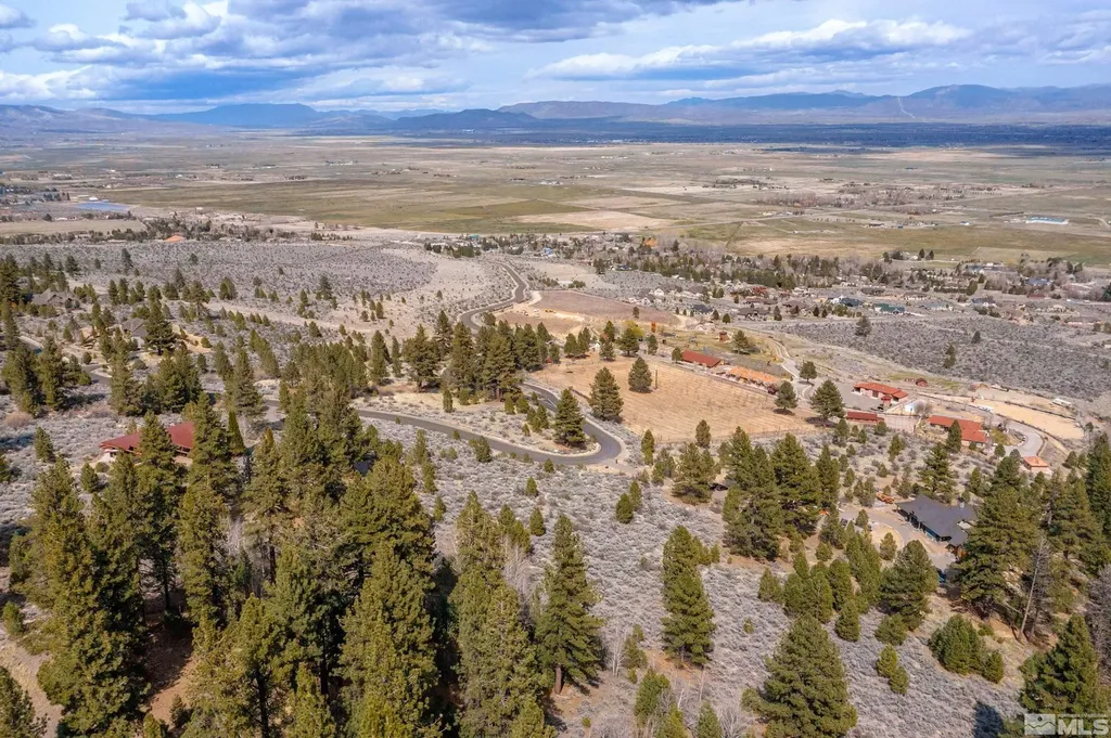 297 Five Creek Gardnerville NV 89460