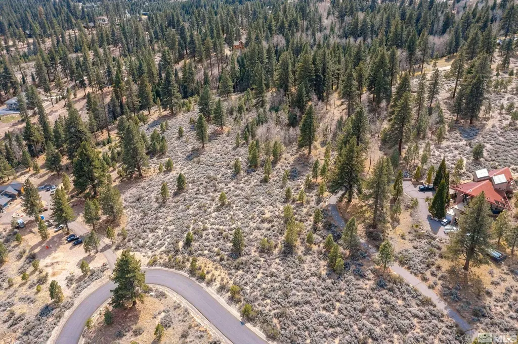 297 Five Creek Gardnerville NV 89460