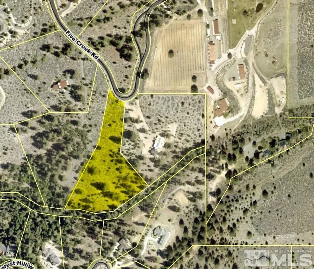 297 Five Creek Gardnerville NV 89460