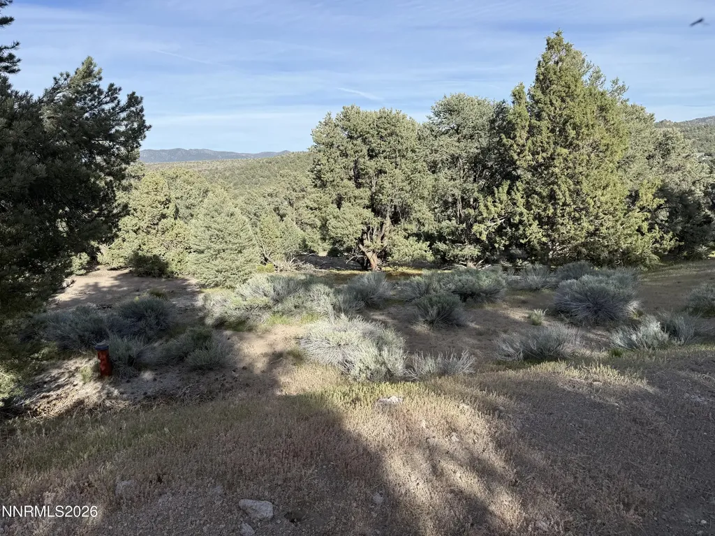 2221 Bulette Reno NV 89521