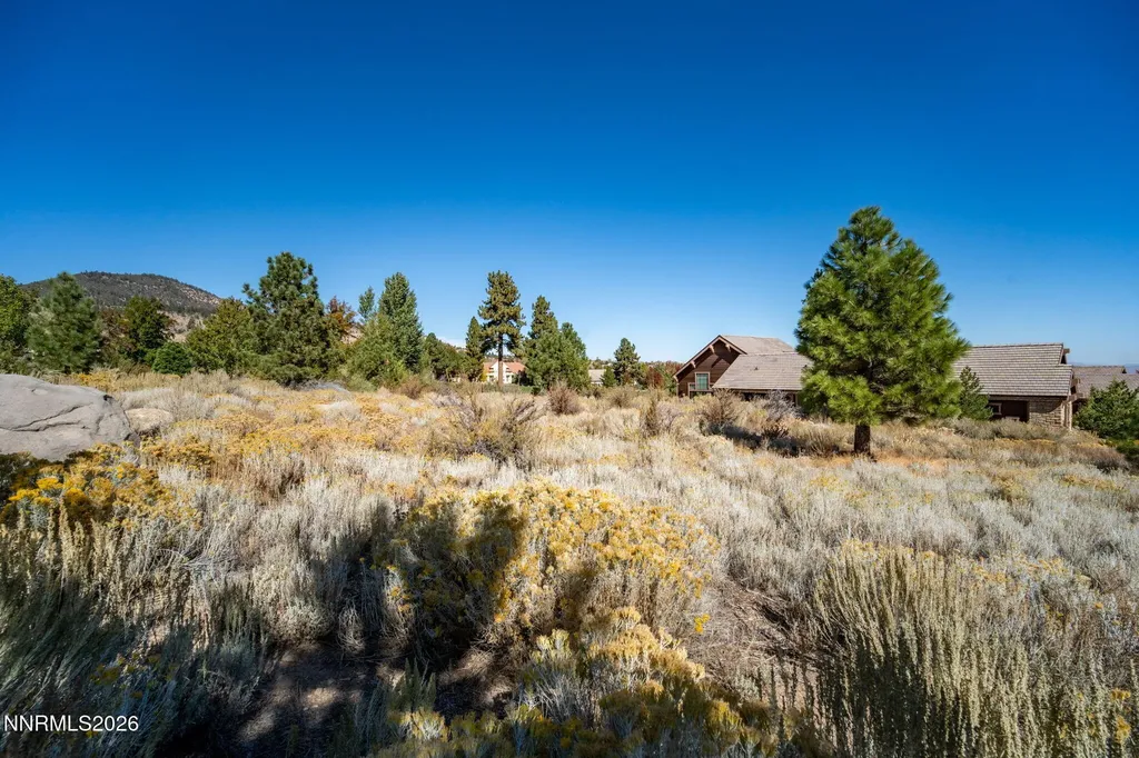 5685 Alpinista Reno NV 89511