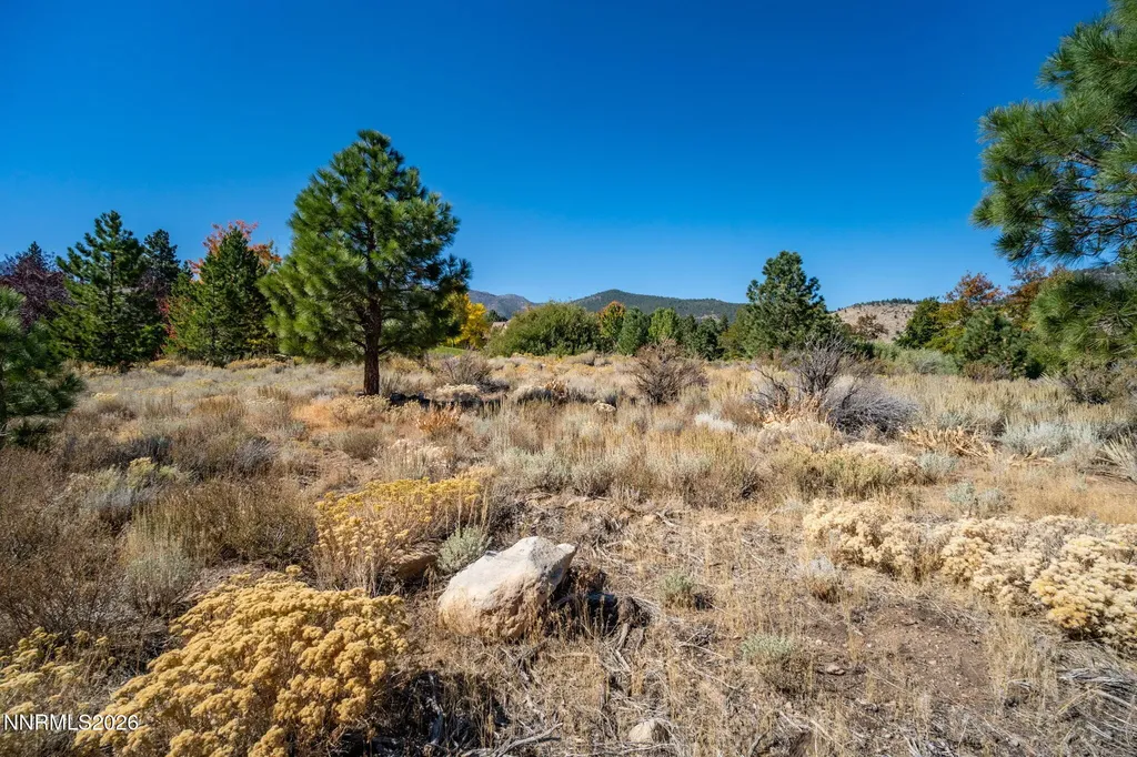 5685 Alpinista Reno NV 89511