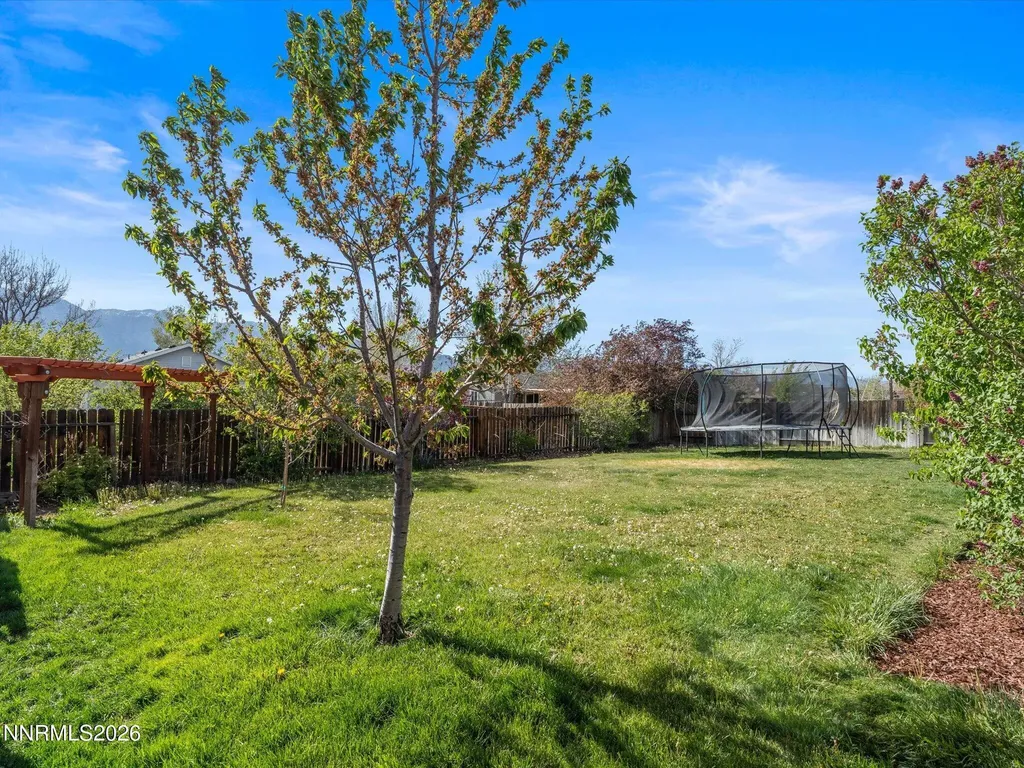 1317 Mary Jo Gardnerville NV 89460
