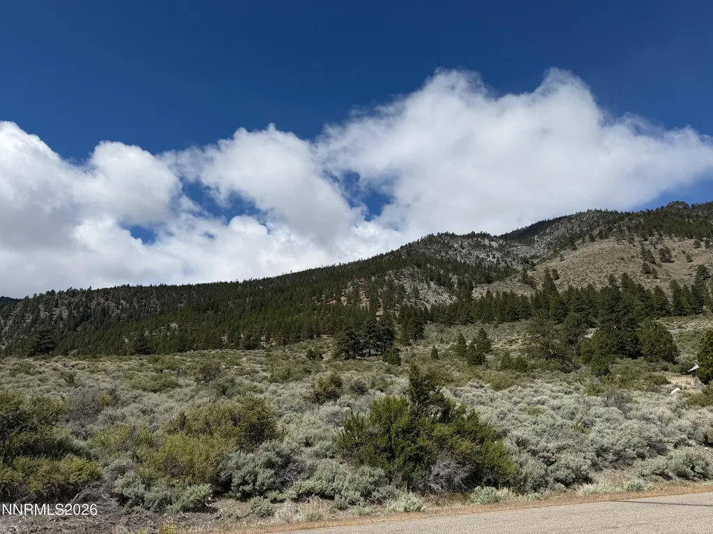 2527 Eagle Ridge Genoa NV 89411