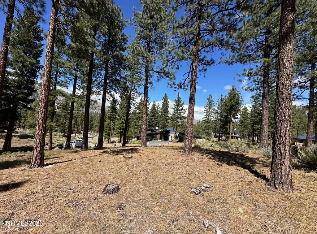 274 Redding Carson City NV 89705