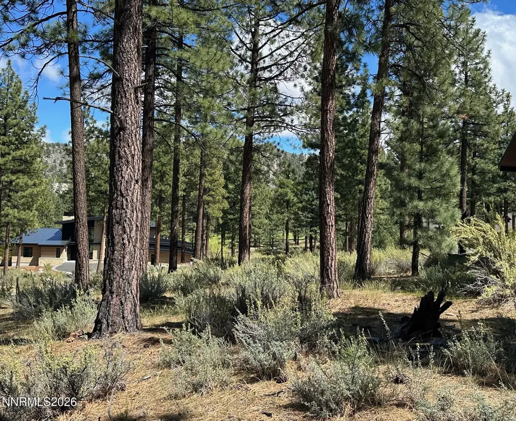 274 Redding Carson City NV 89705
