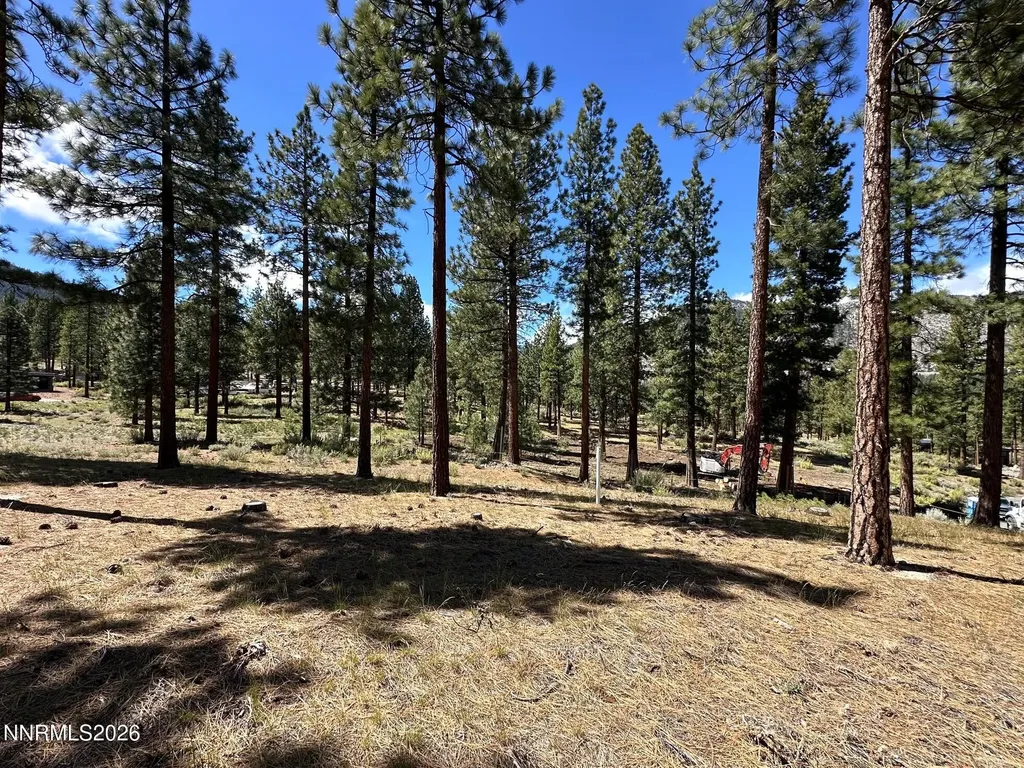 274 Redding Carson City NV 89705