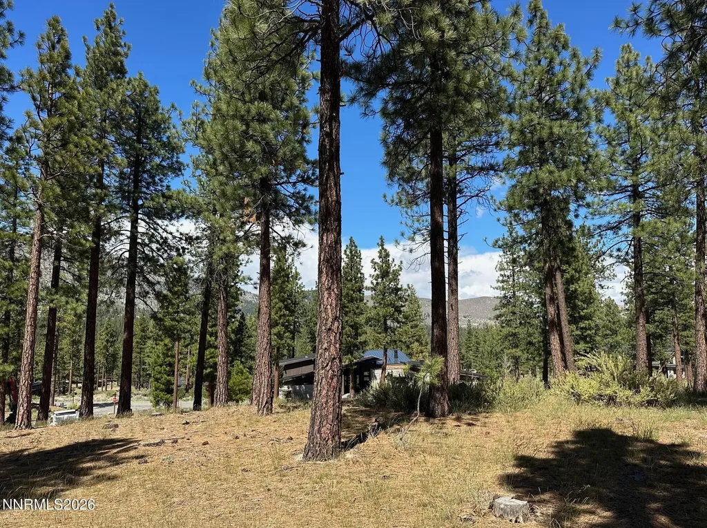 274 Redding Carson City NV 89705