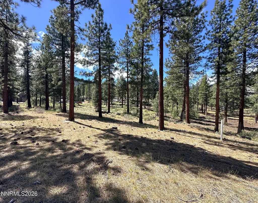 274 Redding Carson City NV 89705