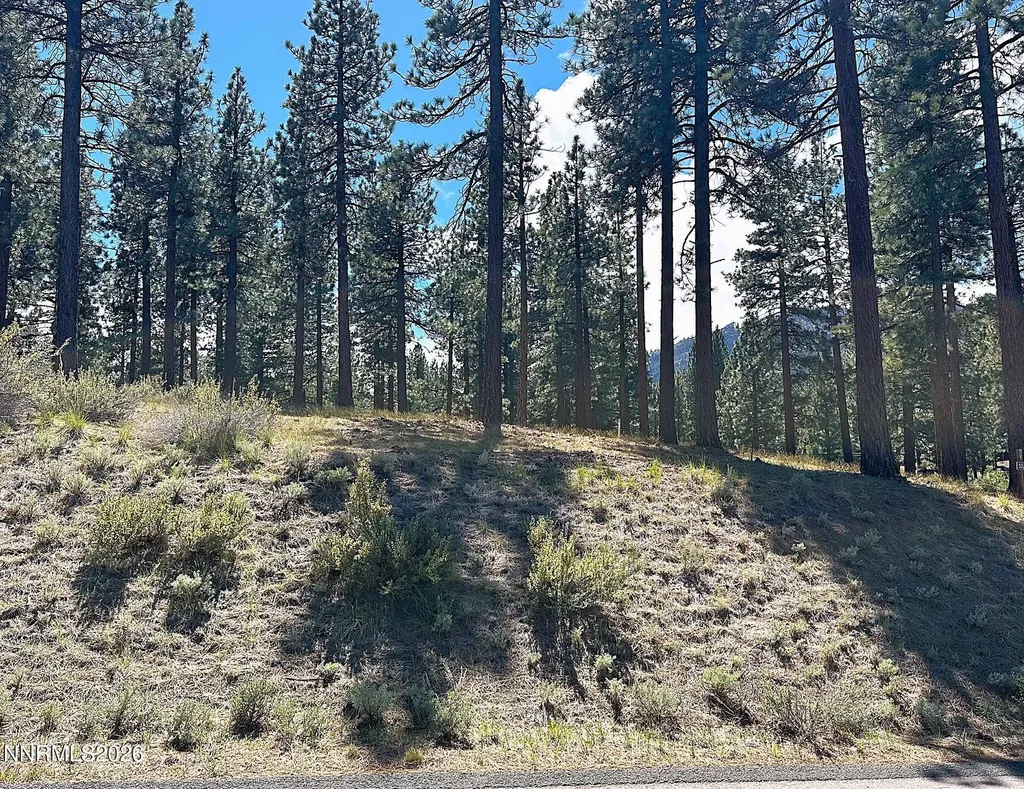 274 Redding Carson City NV 89705