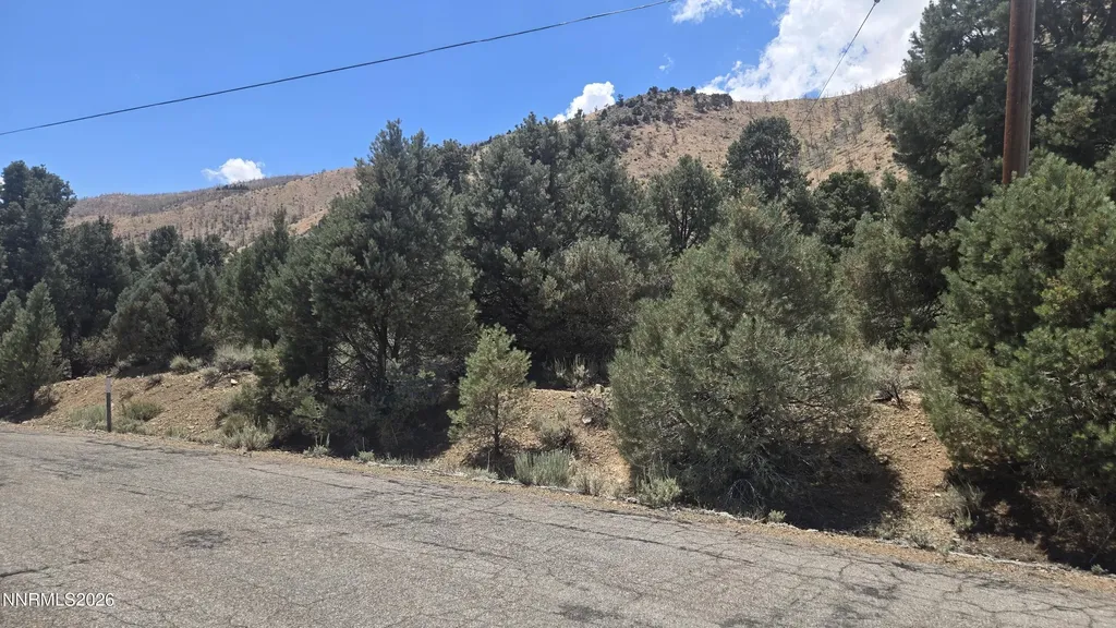 1548 Moss Gardnerville NV 89410