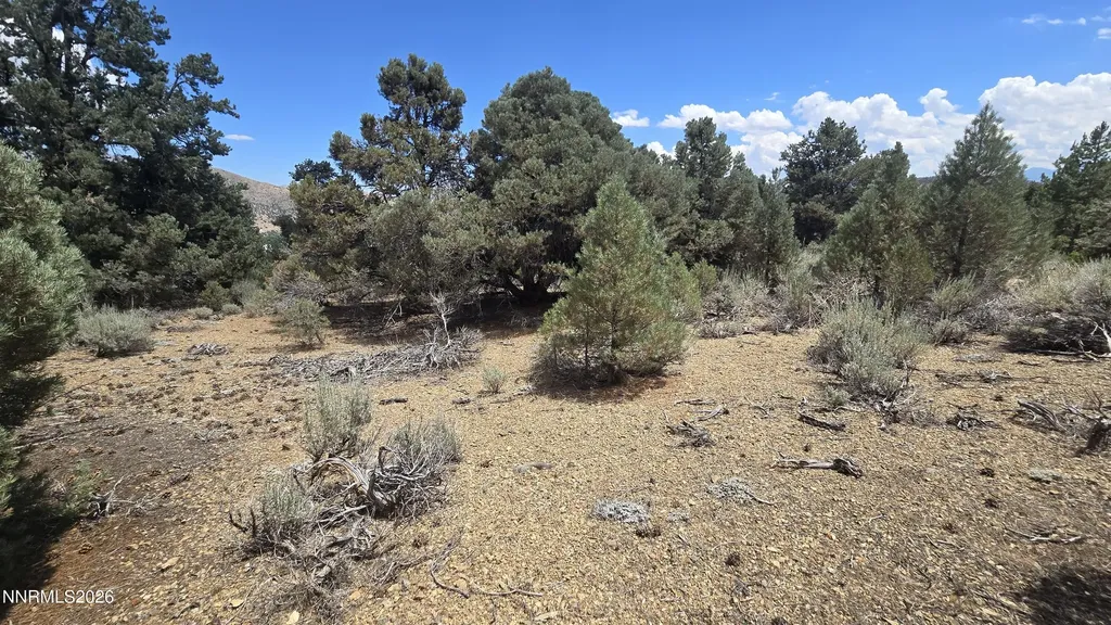 1548 Moss Gardnerville NV 89410