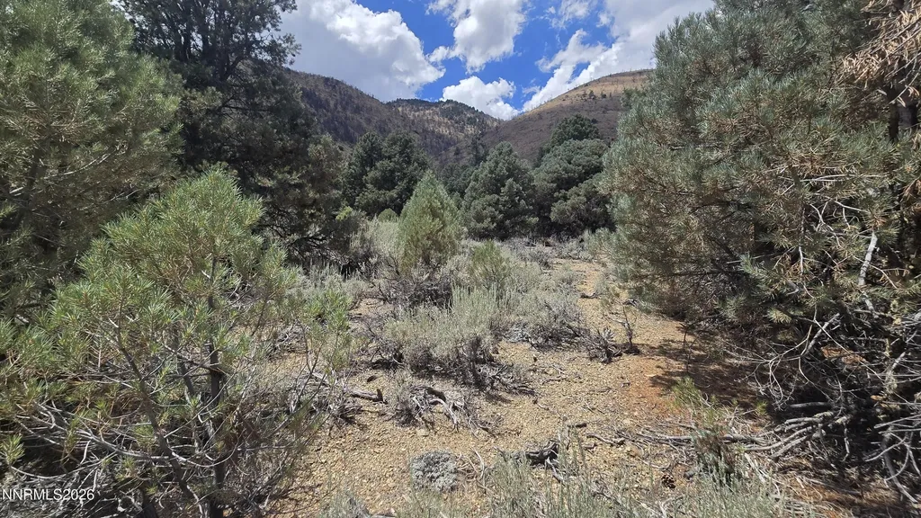1548 Moss Gardnerville NV 89410