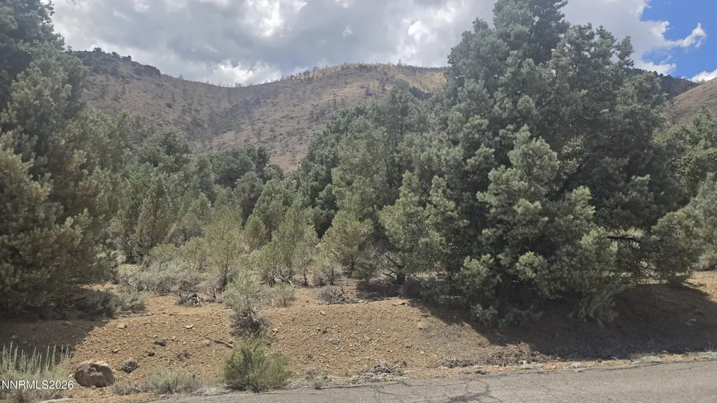 1548 Moss Gardnerville NV 89410