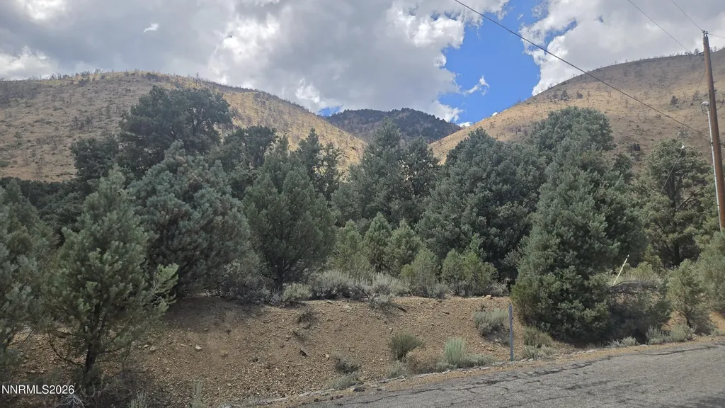 1548 Moss Gardnerville NV 89410