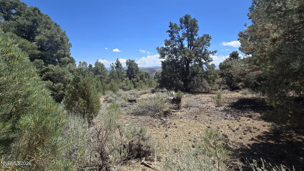 1548 Moss Gardnerville NV 89410