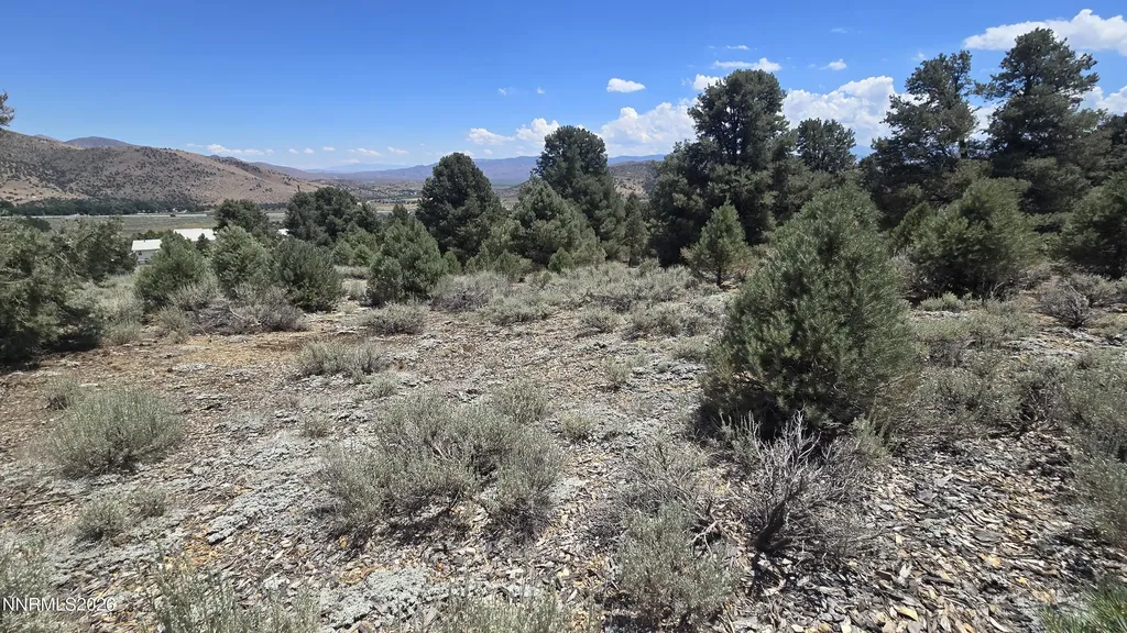1548 Moss Gardnerville NV 89410