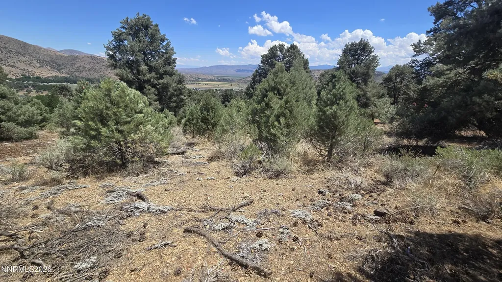 1548 Moss Gardnerville NV 89410
